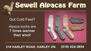 Sewell Alpacha Farm ad